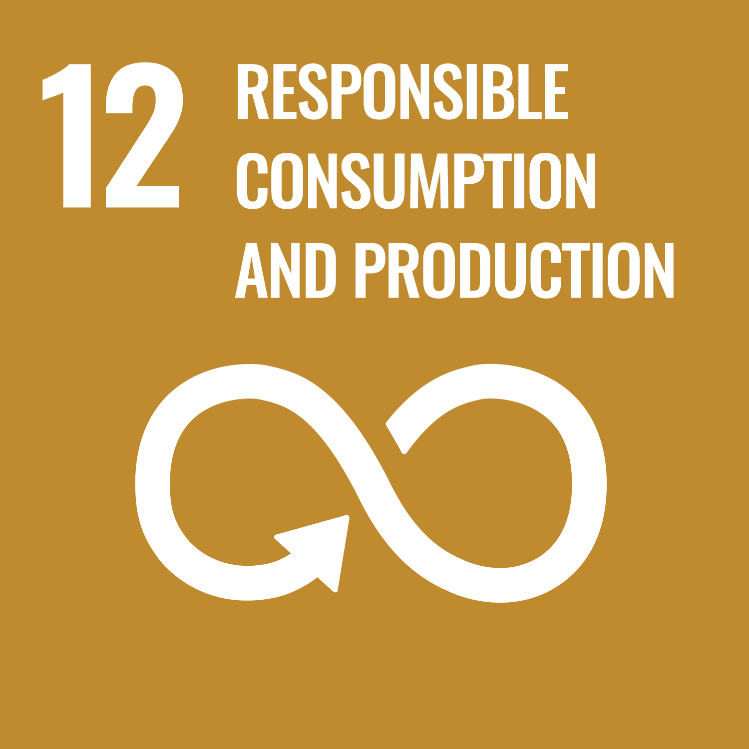 Bontempi Impianti - SDG 12 Bontempi Impianti - SDG 12