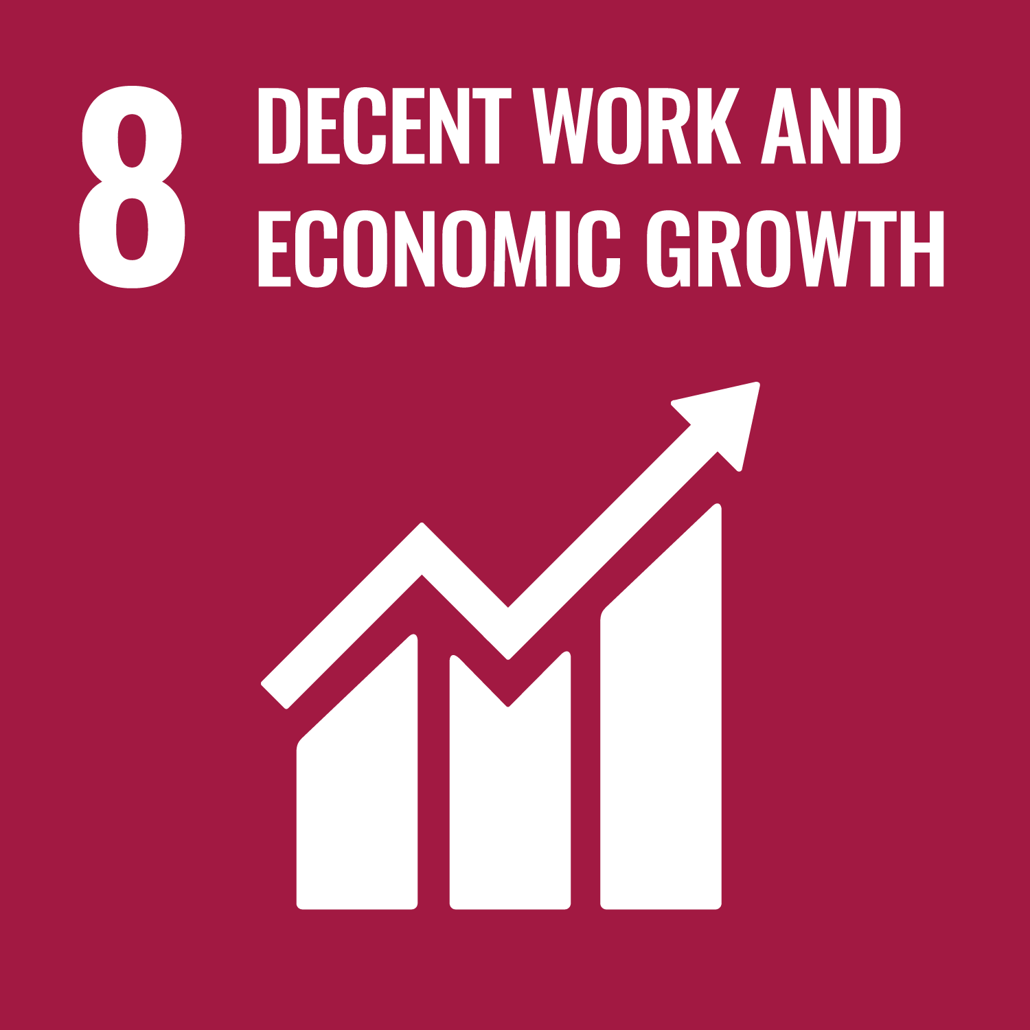 Bontempi Impianti - SDG 8 Bontempi Impianti - SDG 8